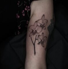 Eeenn de foto van dit mooie stuk, ik LOEV m echt! 

.
Interesse in een nieuwe pl…