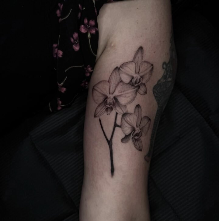 Eeenn de foto van dit mooie stuk, ik LOEV m echt! 

.
Interesse in een nieuwe pl…