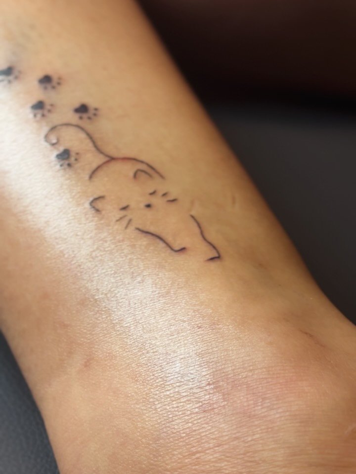 Small cats, medium cats, big cats, demon cats, I do all kind of cats. Do you nee…