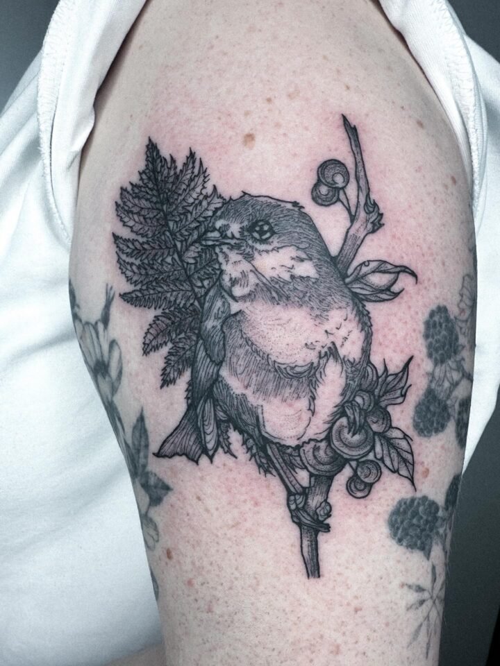 Kleiner Birb für @hahlibaba . Lena hatte ein angefangenes Tattoo am Oberarm, wel…