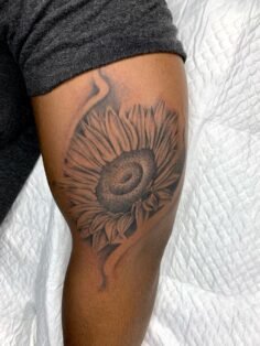 Sunflowers don’t chase light — they are the light. 
A mark of growth, loyalty to…