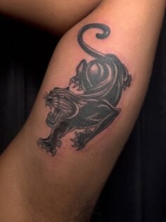 Black panther

Tattoo Charity 3rd -31st january
Pay up your mind for donation

T…