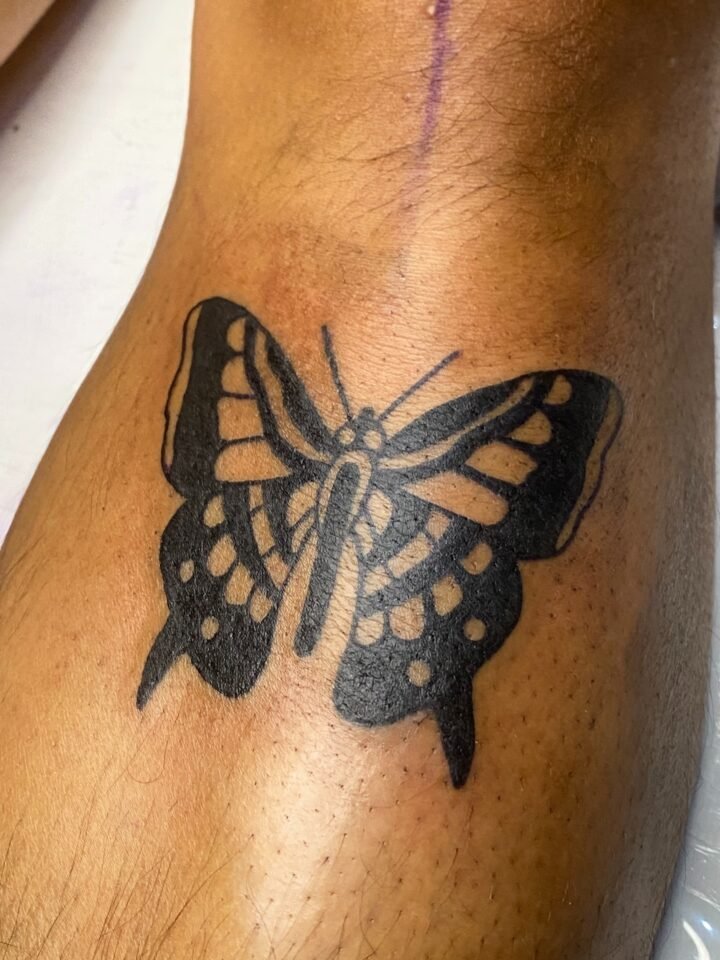 Transformação e Renascimento 
A metamorfose não é um processo delicado; é a reco…