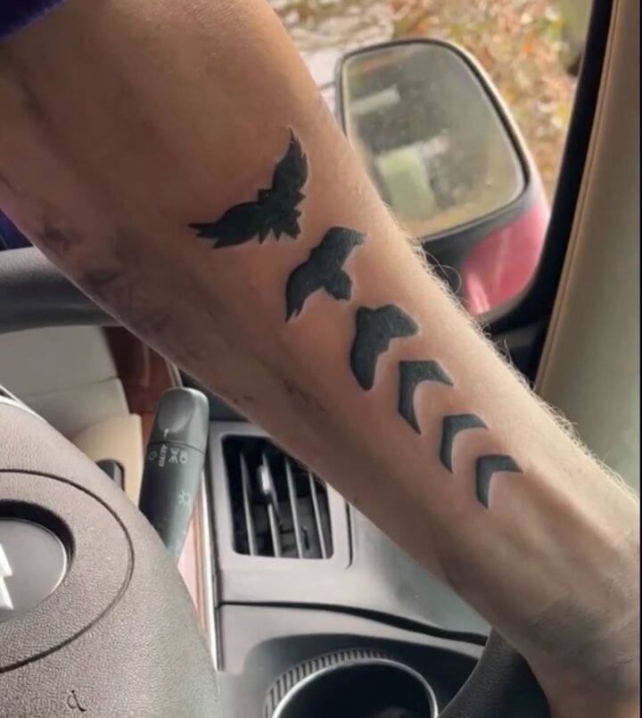 Steady evolving  #tattoo #follow4follows #birdinflight #inkery…