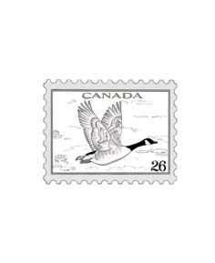 The canadian goose symbolizes resilience, loyalty, and strength in community; bu…