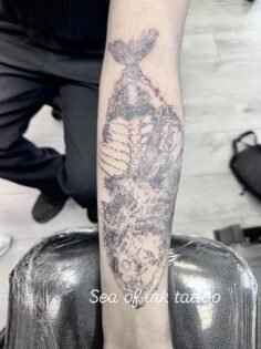 We accept the booking in 66 Hurstmere Road Takapuna Auckland book now Mob:027753…