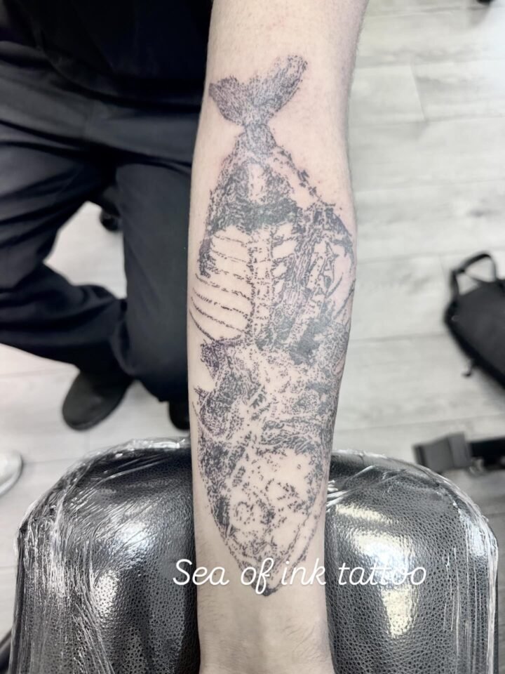 We accept the booking in 66 Hurstmere Road Takapuna Auckland book now Mob:027753…