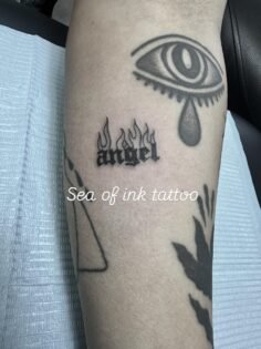 We accept the booking in 66 Hurstmere Road Takapuna Auckland book now Mob:027753…