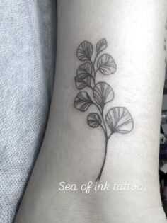 We accept the booking in 66 Hurstmere Road Takapuna Auckland book now Mob:027753…