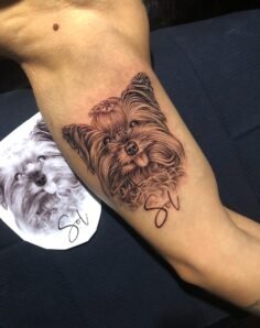 Carta aberta a Sol , 

Escrevo para dizer o quanto eu te amei.
O quanto você, co…