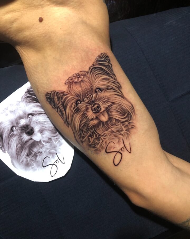 Carta aberta a Sol , 

Escrevo para dizer o quanto eu te amei.
O quanto você, co…