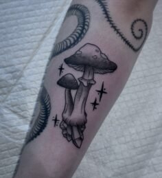 One of the mushroom designs from my recent flash sheet, thank you @eithneeee 

D…