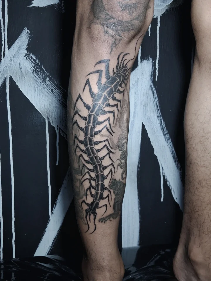 Freehand Centipede

Clean line. Strong meaning.

@r.t.a_ink
Open appointment – D…