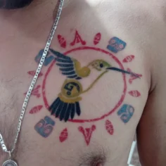 Colibrí a color 
Ya cicatrizado 
.
.
.
.
.
.
#tattoo #tattoocolors #colibri #col…