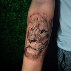 El león no ruge por miedo, ruge por convicción.



Cita,Cotizaciones 
3202176192…