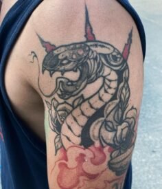 Amuletos  

Cicatrices antañas, envejecimiento natural 

Tatuajes al 2281157643 …