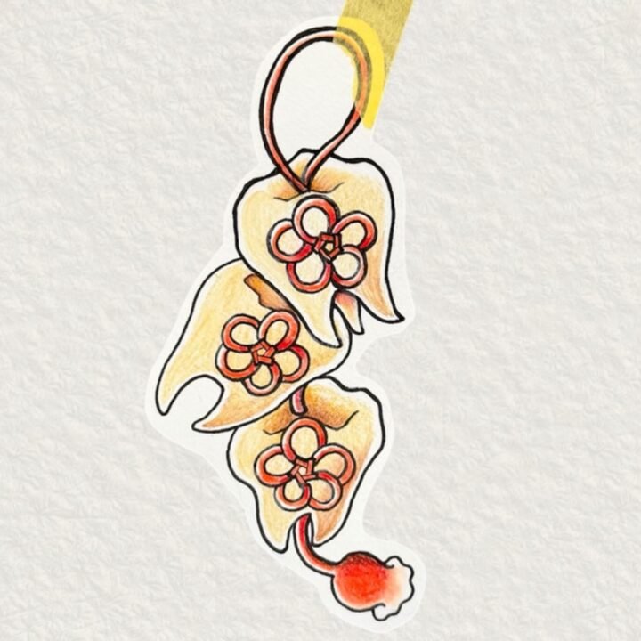 吊るし飾り
一月　お題フラッシュ部　縁起物
縁起物といえば本来は鶴亀や宝尽くしですが、
歯が好きなので、全部歯で縁起を担いでみました！
一生付き合うものほどいち…