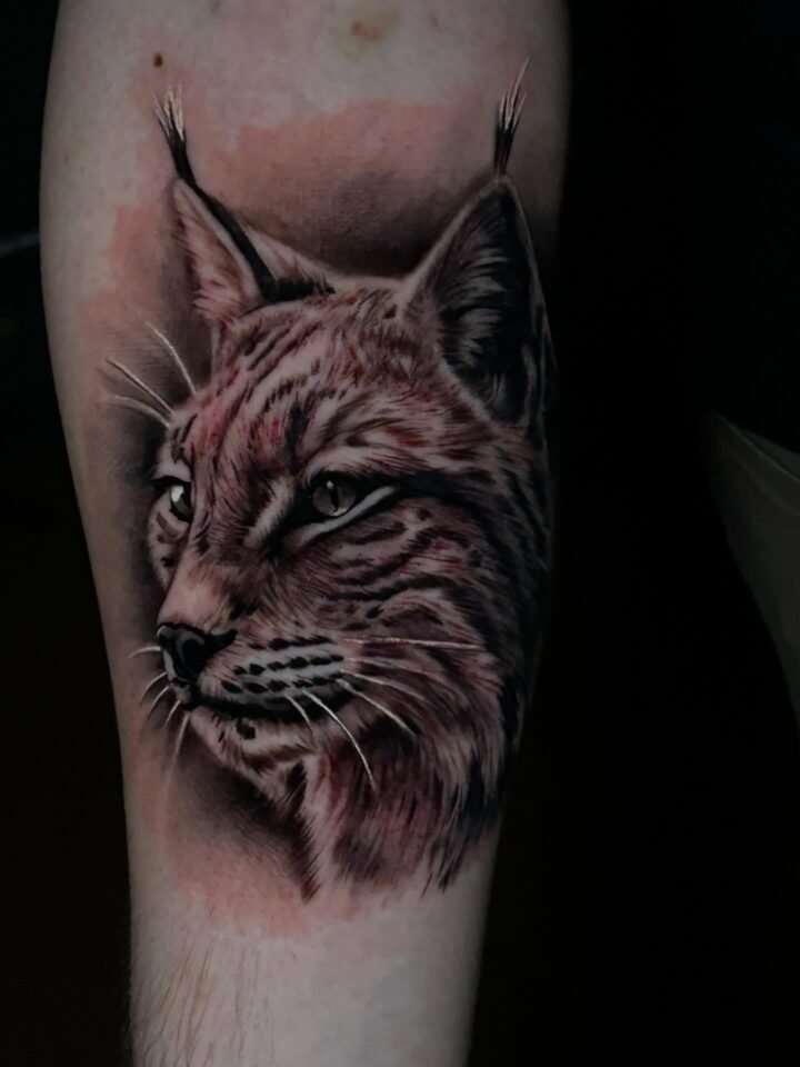 Précis : chaque action est calculée.  #felin #tattoo #lynx #lynxtattoo #artist…