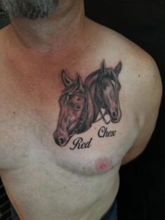 Red and Chex
#tattoo #horsetattoo…